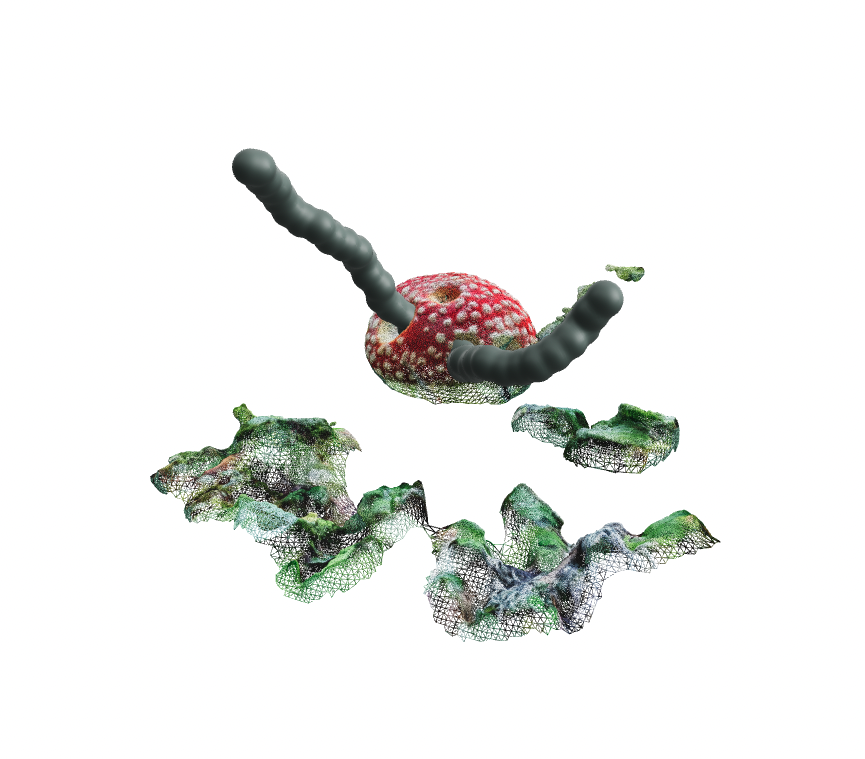 Residency Biennale Art Safiental 2020